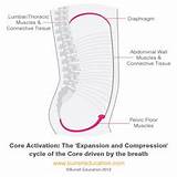 Images of Core Muscles Breathing