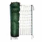 Pictures of Electric Net Fence Poultry