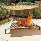 Outdoor Beds For Dogs Pictures