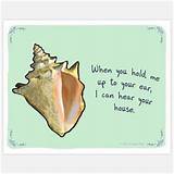 Photos of Seashell Quotes