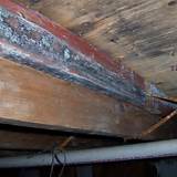 Sistering Floor Joists Termite Damage
