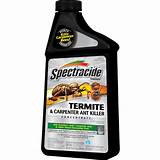 Pictures of Carpenter Ant And Termite Killer Concentrate