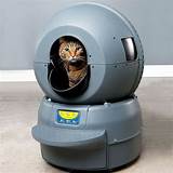 Photos of Cat Litter Robot Amazon