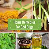 Photos of Natural Home Remedies To Get Rid Of Bed Bugs