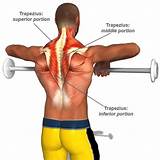 Images of Deltoid Workout Exercises