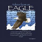 Eagle Quotes Images Pictures
