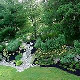 Images of Backyard Landscaping Berms
