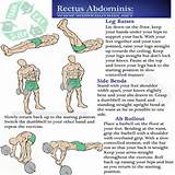 Images of Rectus Abdominis Muscle Exercise