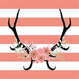 Photos of Deer Antlers With Flowers