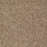 Photos of Nylon Vs Polyester Carpet
