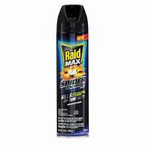 Bed Bug Spray Raid Max Images
