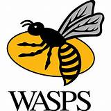 Wasp Rugby Images