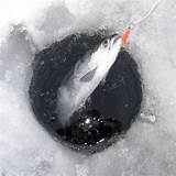 Photos of What Is Ice Fishing