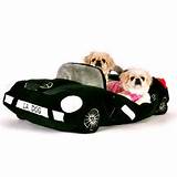 Images of Car Beds For Dogs