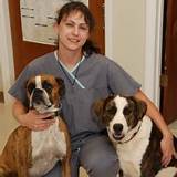 Pictures of Cabarrus Animal Hospital Concord Nc