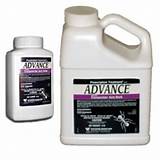 Advance Granular Carpenter Ant Bait