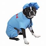 Pictures of Dog Doctor Costume
