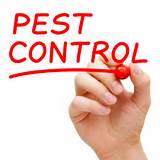 Do It Best Pest Control