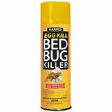 Pest Spray Home Depot