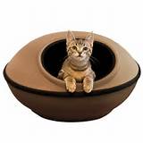 Pictures of Discount Cat Beds