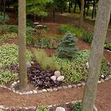 Images of Backyard Landscaping No Lawn
