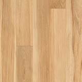 Elm Wood Planks Pictures