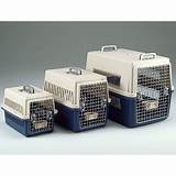 Photos of Pet Carrier Agency