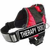 Pictures of Therapy Dog Vest