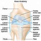 Images of Knee Strain Recovery Time