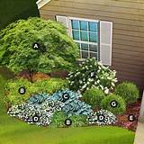 Plan A Shade Garden Pictures