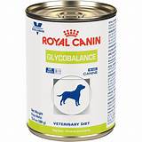 Images of Canned Food Dog