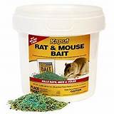 Pictures of Best Rat Poison Available
