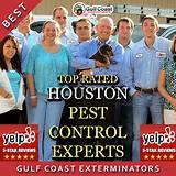 Gulf Coast Pest Control Pictures