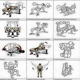 Chest Exercises Workout