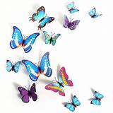Sticker Butterfly Images