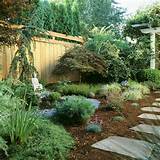 Pictures of Large Side Yard Landscaping Ideas