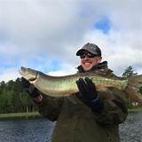 Lake Link Wisconsin Fishing Reports Images