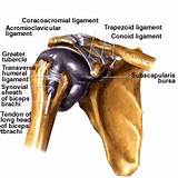 Shoulder Joint Replacement Surgery Recovery Images