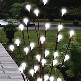 Solar Lights Garden Decor Pictures