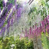 Images of Fake Outdoor Hanging Flowers