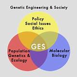Genetic Engineering Graduate Programs Images
