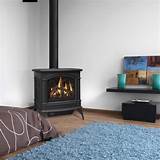 Direct Vent Gas Log Stoves Photos