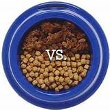 Dog Food Vs Cat Food Pictures