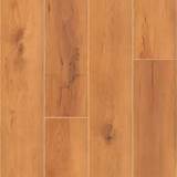 Shaw Vinyl Wood Plank Flooring Pictures