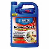 Bayer Advanced Termite Killer Pictures