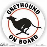 Pictures of Greyhound Stickers