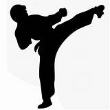 Kung Fu Kicks Photos