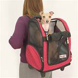 Rolling Pet Carrier For Large Dogs Images