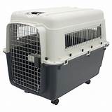 Rolling Pet Carrier Large Pictures