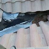 Images of Roof Tile Crack Repair